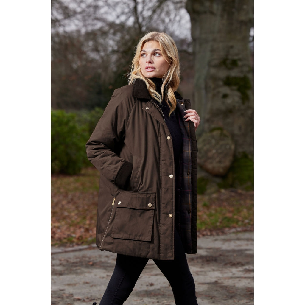 Junge Marianne Kv. 45 60-Chocolate