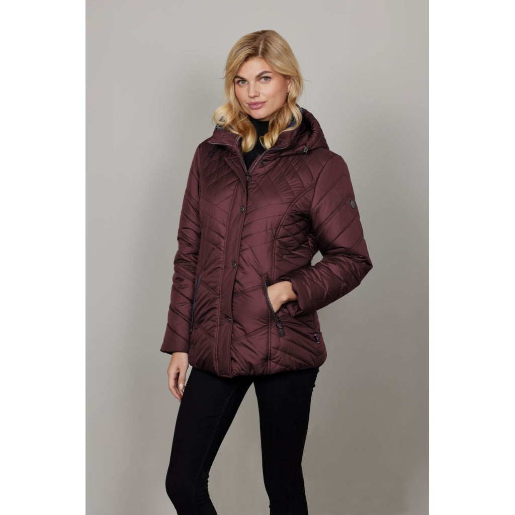 Junge Kate Kv. 66 38-Wine